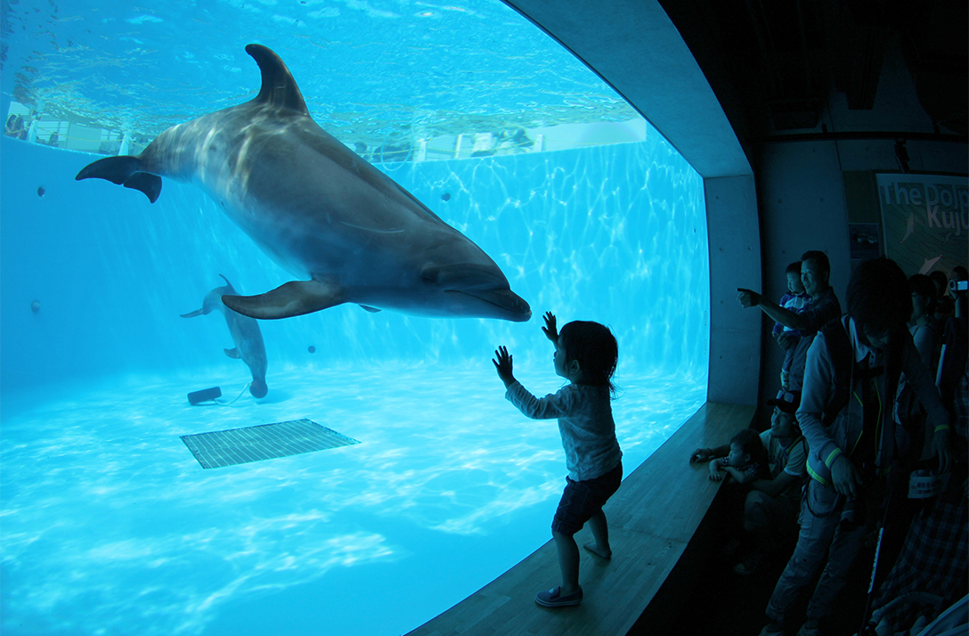Kujukushima Aquarium “UmiKirara” SASEBO/OJIKA TRAVEL OFFICIAL