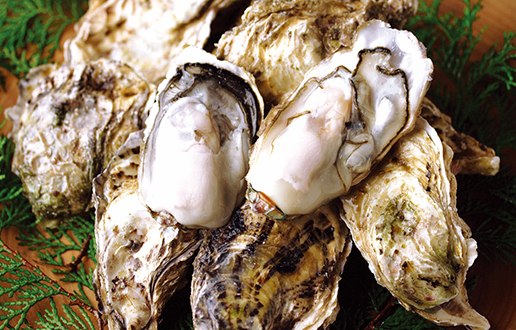 Kujukushima Oysters